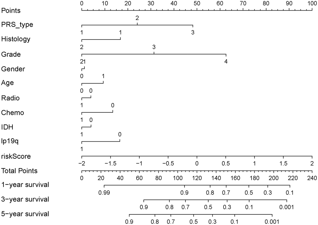 Nomograph of 1-, 3-, and 5-year overall survival probabilities predicted based on aging-related lncRNA signature.