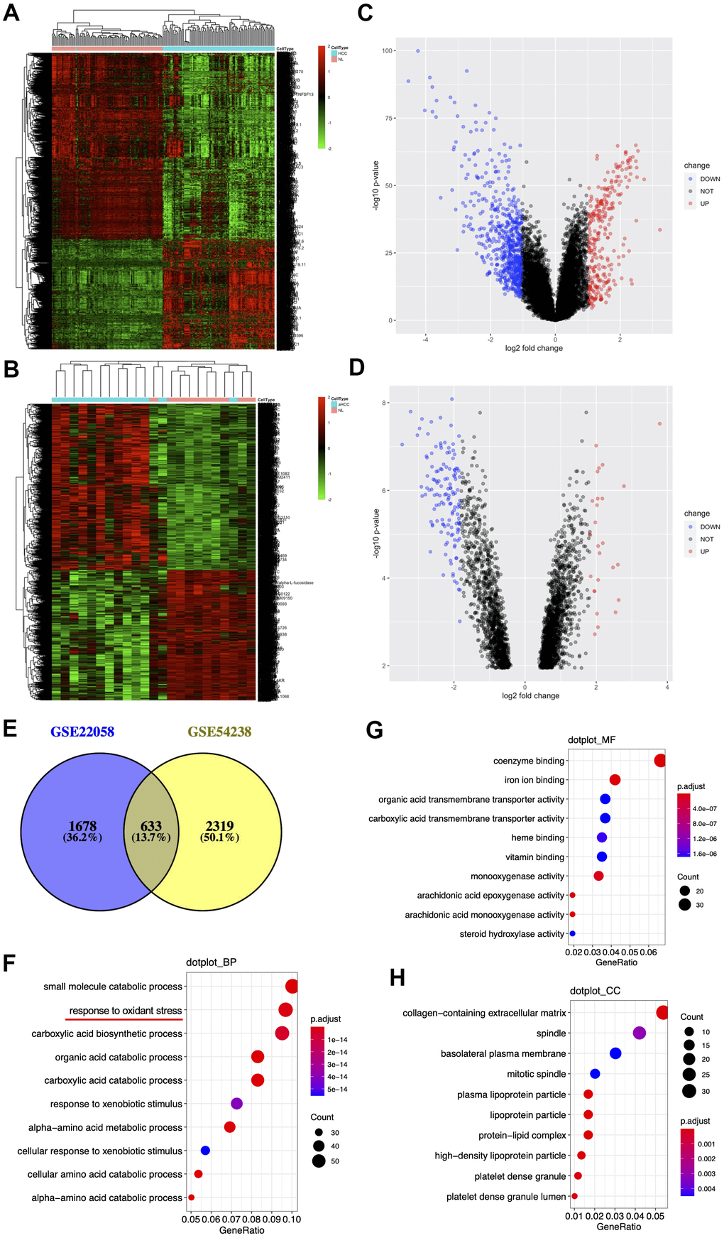 Identification and enrichment of DEGs from the GSE54238 and GSE22058 datasets. (A, B) DEGs hierarchical clustering. Data are the log2 HCC-to-normal intensity ratio. Green and red represent significantly downregulated and upregulated genes (p C, D) Volcano plot representing the distribution of DEGs. (E) DEGs shared in two datasets. (F–H) Ten significant GO terms.