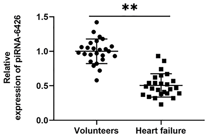 piRNA-6426 is down-regulated in the blood of patients with heart failure. After fasting, 5 mL of blood was drawn from the anterior elbow vein of the volunteers and HF patients, RNA was extracted, and the expression of piRNA-6426 was detected by RT-qPCR. Values were expressed as mean ± SEM. **P