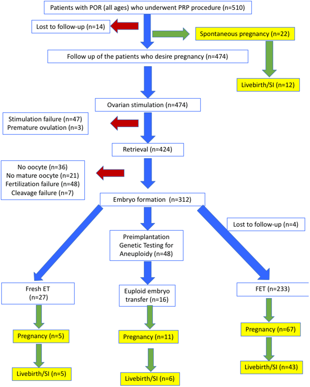 Flowsheet of outcomes for all patients.