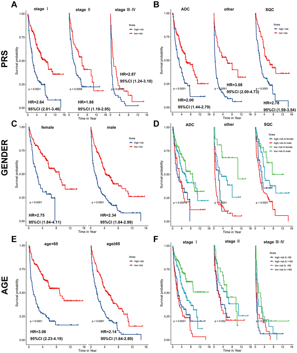 PRS as a valuable predictor for OS in subgroups. PRS discriminated high-risk patients with different clinicopathological characteristics, including (A) p-stage, (B) histological type, (C, D) gender, and (E, F) age.