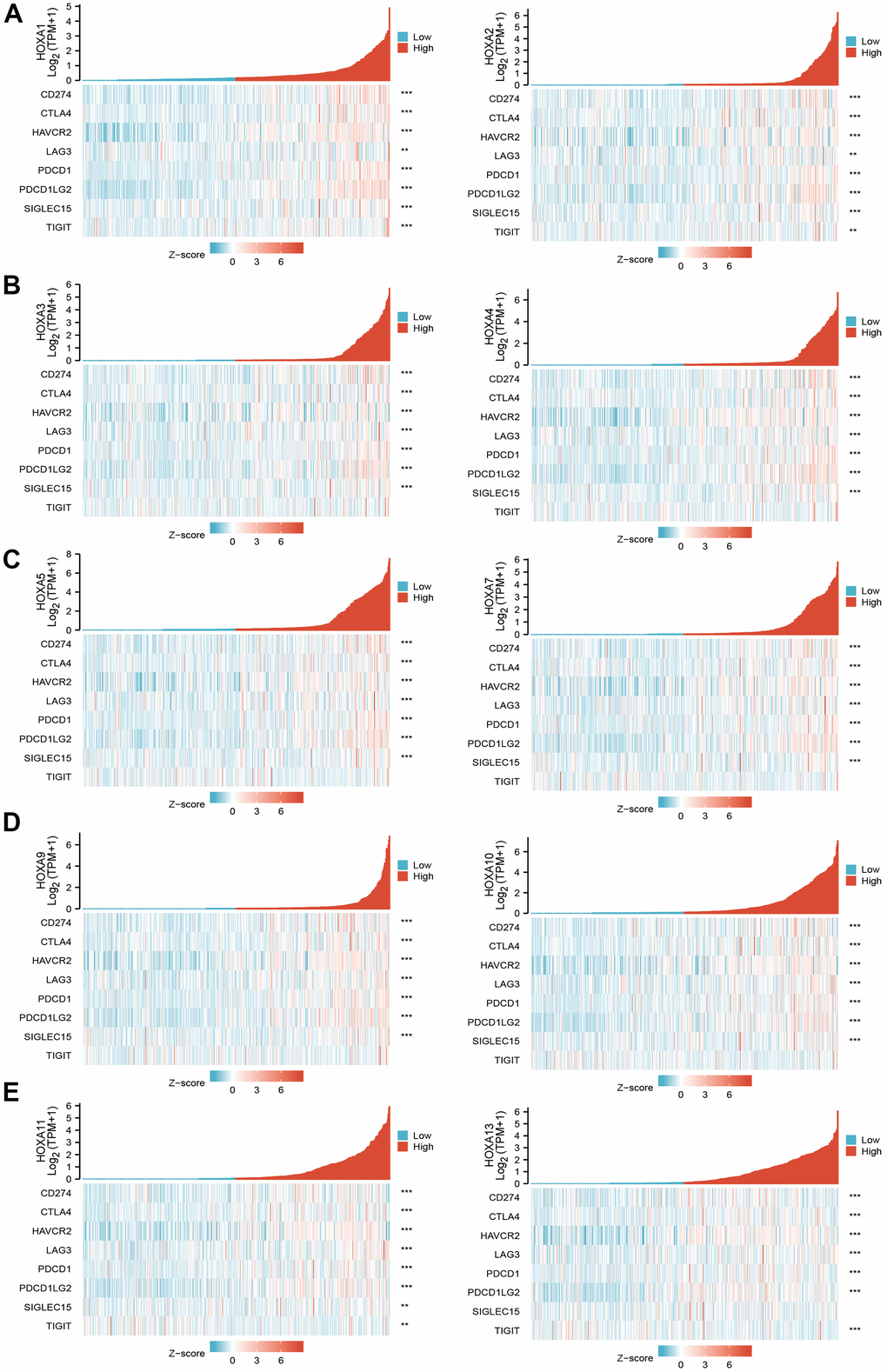 The correlation between HOXAs expression and immune modulator. (A–E) The correlation between HOXAs expression and immune modulator.