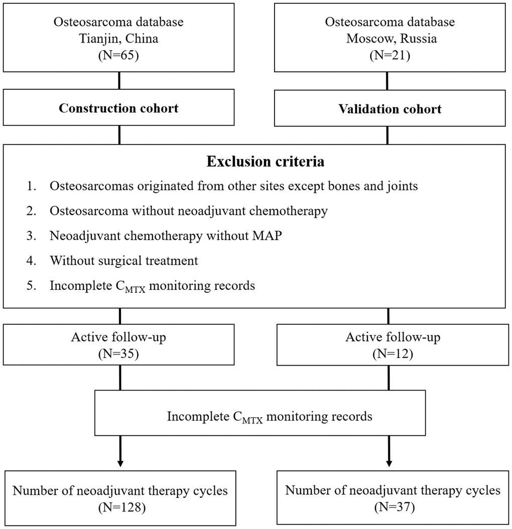 Flowchart for the selection of OS patients.