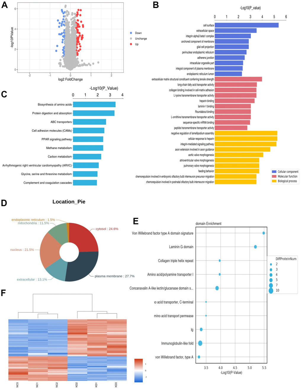 Proteomic results. (A) Differential protein volcano map. The blue circles on the left represent down-regulated proteins and the red circles on the right represent up-regulated proteins. The abscissa is the fold change; The y-coordinate is P value. (B) The bar chart shows the results of the top 10 GO terms with the most significant enrichment. The ordinate represents the GO function name, and the abscissa represents the P-value of enrichment significance. Blue bars represent cellular components, red bars represent molecular functions, and yellow bars represent biological processes. (C) The bar chart identifies the top 10 KEGG pathways with the most significant enrichment. The ordinate is KEGG pathway name and the abscissa is p-value. (D) Protein subcellular localization map. (E) The top 10 protein domains with the most significant enrichment are shown in the bubble diagram. The ordinate is the name of the structure domain, and the abscissa is the p-value. The size of the circle represents how many differential proteins are contained in the domain. (F) Red represents up-regulated proteins and blue represents down-regulated proteins.