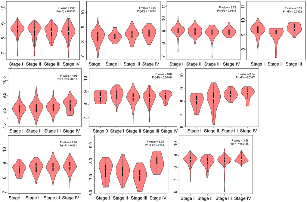 HNRNPC expression in different clinical stage. TCGA data were used to examine the expression level of the HNRNPC gene during the major pathogenic phases. For log-scale, Log2 (TPM+1) was used.