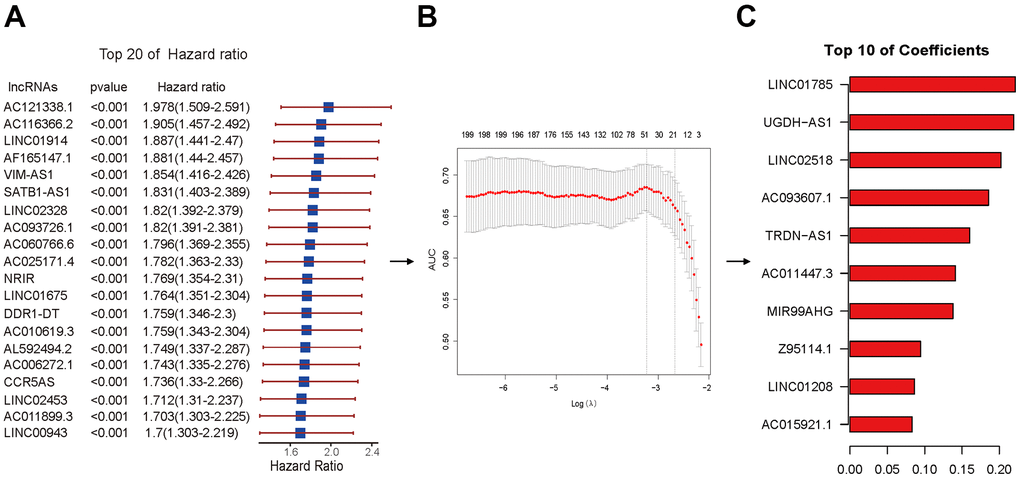 Lasso regression performed by Cox regression results. (A) The HR and p-value of selected lncRNAs with the top 20 of HR using the univariable Cox HR regression (p B) Cross-validation determined the optimal value of the penalty parameter (Lambda.min). Partial likelihood deviation curves were plotted against lambda. Dotted vertical lines were drawn at the optimal values by using the minimum criterion (left) and 1 standard error of the minimum criterion (1-SE criterion) (right). (C) The coefficients of selected lncRNAs with the top 10 of coefficients.