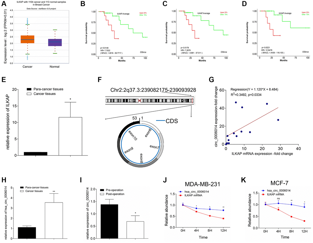 Analysis of circ