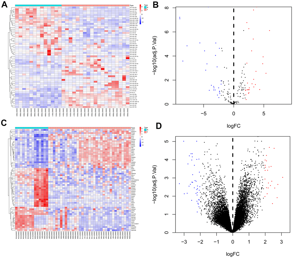 Heat map and volcano map of differentially expressed genes of GSE81873 and GSE27651. (A). Heat map of DEGs in GSE81873. (B). Volcano map of DEGs in GSE81873. (C). Heat map of DEGs in GSE27651. (D). Volcano map of DEGs in GSE27651. Red dots represent up-regulated genes and blue or green dots represent down-regulated genes.