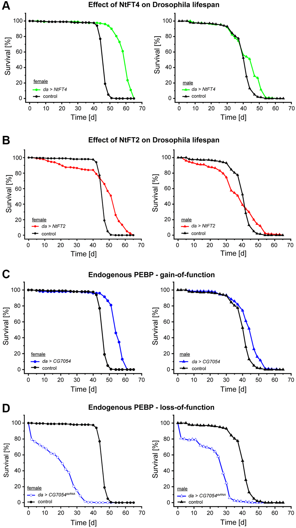 Survival of Drosophila populations expressing NtFT4, NtFT2, CG7054 or CG7054dsRNA under the control of the daughterless (da) promoter. Survival curves of female (left) and male (right) flies in the filial generation after mating UAS-NtFT4, UAS-NtFT2, UAS-CG7054 or UASt-CG7054dsRNA with the da-Gal4 driver strain. (A, B) Effect on lifespan of flies constitutively expressing the floral inducer NtFT4 (A) or the floral repressor NtFT2 (B) compared with da-Gal4 x Oregon-R (n = 200). (C, D) Effect on lifespan of flies constitutively expressing the Drosophila PEBP CG7054 (C) or constitutively silencing CG7054 after mating UASt-CG7054dsRNA with the da-Gal4 driver strain (D) compared with da-Gal4 x Oregon-R (n = 200). Median and mean lifespans and statistical evaluation are summarized in Table 1 (female flies) and Supplementary Table 1 (male flies).