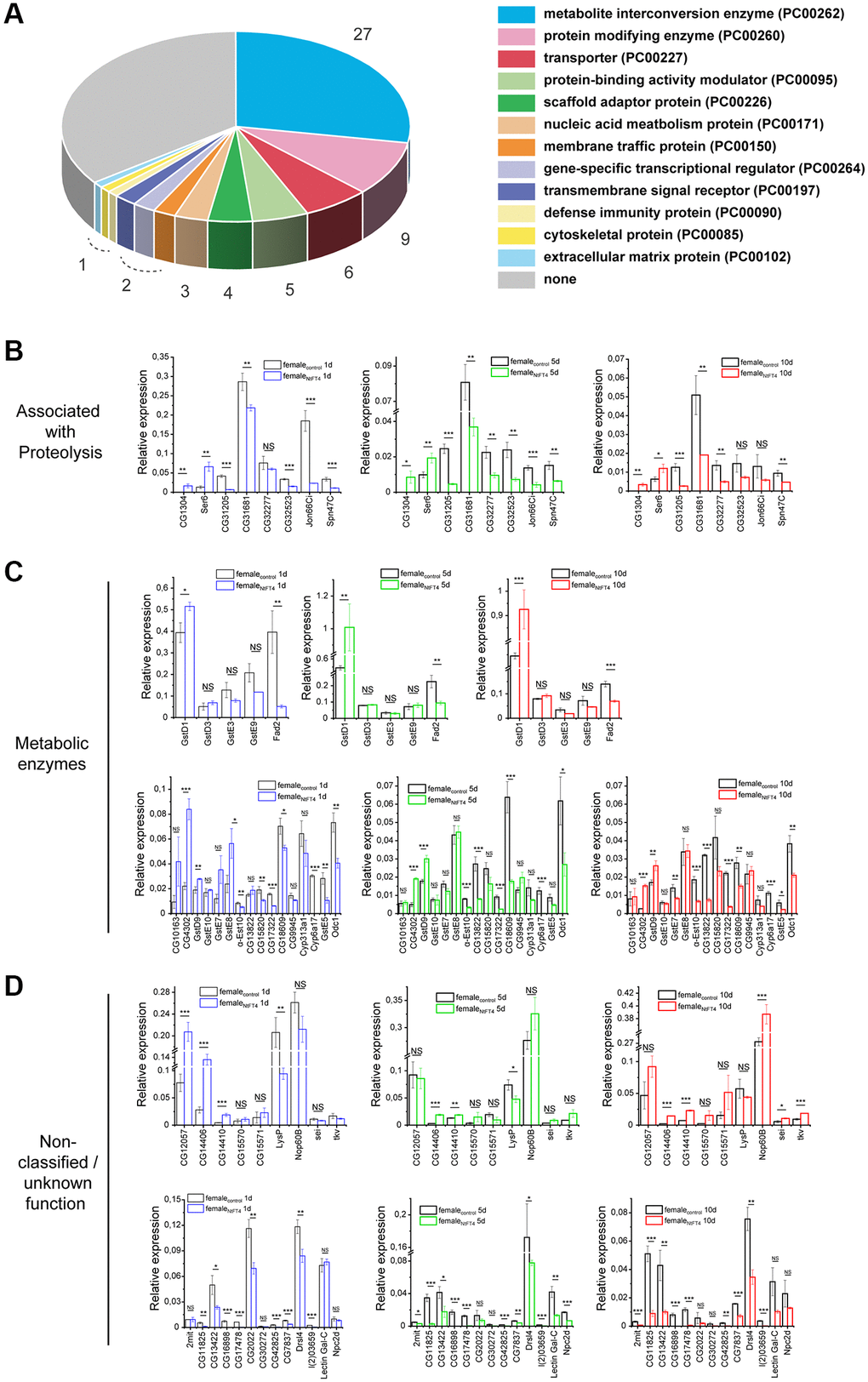 GeneChip 2.0 array and gene expression analysis of female flies expressing NtFT4. (A) Protein classes encoded by differentially expressed genes which were identified in the GeneChip Drosophila Genome 2.0 arrays (Affymetrix). We identified 149 genes that were significantly deregulated in female flies expressing NtFT4, 97 of which were mapped in the Panther database, and 63 genes were classified as representing 12 different protein classes. The largest protein classes were PC00262 (metabolite interconversion enzymes, 27 genes) and PC 00260 (protein modifying enzymes, 9 genes). Significance was determined using the paired t-test. Deregulated genes were included with a log2 fold change > 1.5 and a p-value n = 3. (B–D) Gene expression analysis. Deregulated genes associated with proteolysis (CG1304, Ser6, CG31205, CG31681, CG32277, CG32523, Jon66Ci and Spn47C) (B), annotated as metabolic enzymes (C), or genes which cannot be classified into groups and genes of unknown function (non-classified/unknown function) (D) identified by transcriptome analysis were analyzed individually in 1d (left, blue), 5 d (middle, green) or 10 d (right, red) old female flies expressing NtFT4 (da > NtFT4) compared with control (da-Gal4) flies (black). Relative expression levels were calculated in relation to the reference genes Gapdh2, 14-3-3 ε and RpL32. Data are means ± SEM (n = 3), p-values are based on a t-test of pairwise comparisons between da > NtFT4 and da-Gal4 flies, ****p ***p **p *p NS: not significant. The p-values of all comparisons are provided in Supplementary Table 9.