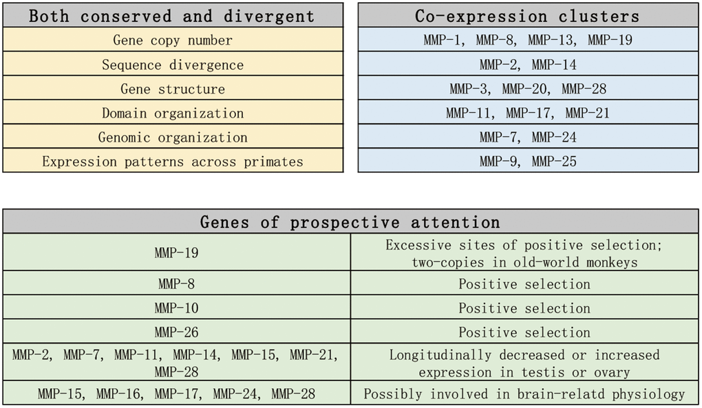 Summary and prospect of the findings in this article.