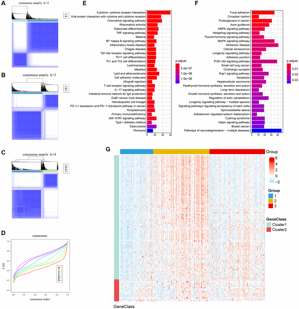 The clusters of DEGs with consensus clustering algorithm and KEGG enrichment. (A–C) Consensus matrixes of TCGA cohorts for each k (k = 2–4), displaying the clustering stability using 1000 iterations of hierarchical clustering. (D) Cumulative distribution function (CDF) curve; Different colors represent different clusters, x-axis denotes consensus index and y-axis denotes CDF values. (E, F) Enrichment pathways of the top 30 KEGG in gene cluster A and gene cluster B. (G) Expression profile heatmap of top 100 DEGs obtained by LIMMA and Random Forest.