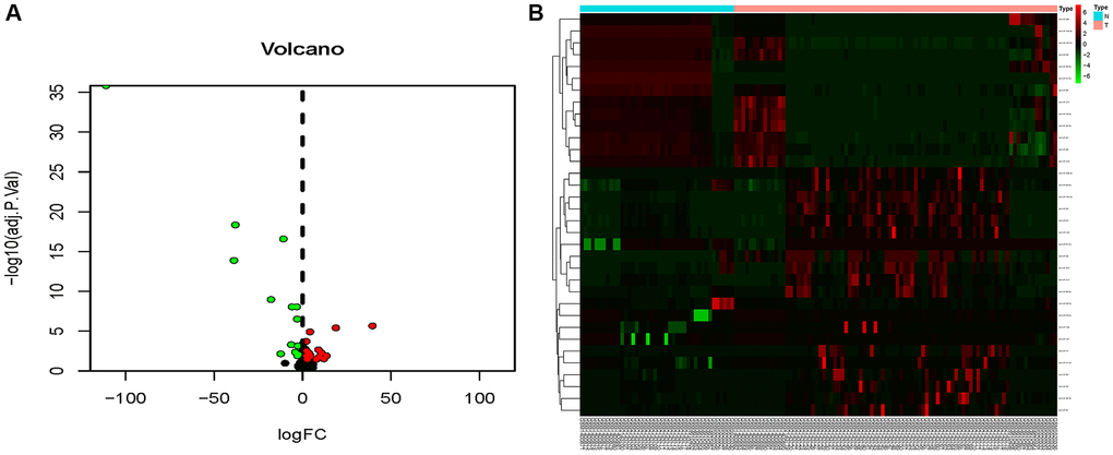 Volcano map and heat map of DE-miRNAs. (A) The volcano plot using log2|FC|≥2 and an adjusted p n = 15), blue dots represent downregulated DE-miRNAs (n = 12), and black dots represent non-DEmiRs. (B) A heat map depicting the expression variety of 34 DE-miRNAs across four miRNA chips; the color scale from blue to red represents expression levels ranging from low to high.