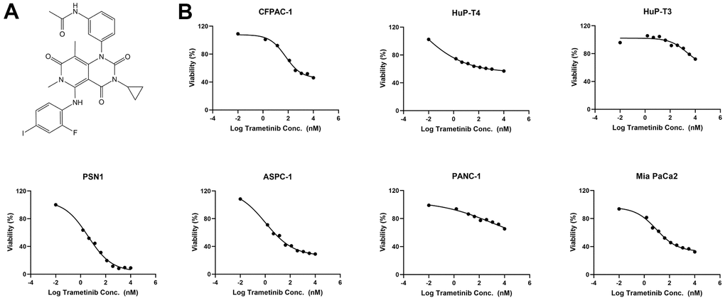 The MEK inhibitor trametinib suppresses KRAS mutant pancreatic cancer cells. (A) The structure of the MEK inhibitor trametinib. (B) Fitting curve of cytostatic responses illustrated a decreasing concentration gradient of trametinib in 7 KRAS mutant pancreatic cancer cell lines (AsPC-1, MIA PaCa-2, PANC-1, HuP-T4, HuP-T3, PSN1, and CFPAC-1).