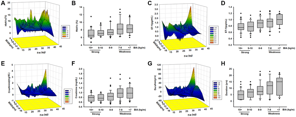 The levels of HbA1c, ET-1, creatinine expression, and diseases duration are correlated with ASM among elderly patients with diabetes mellitus (DM). Analysis the correlated the levels of HbA1c (A, B), ET-1 (C, D), creatinine (E, F), and diseases duration (G, H) with different body composition (ASM/ht2) by mesh graphs and different muscle mass in elderly DM patients.