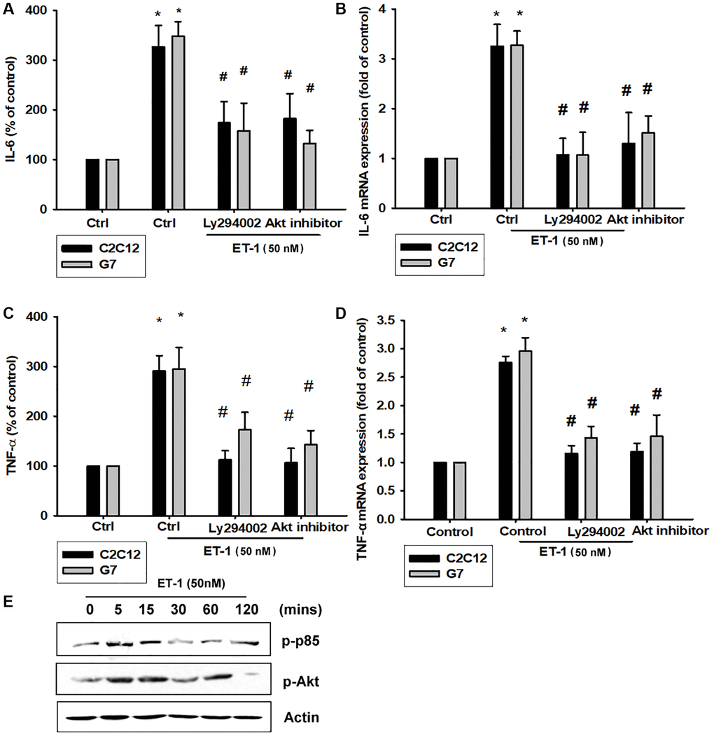 The PI3K pathway is involved in endothelin-1 or ET-1–induced IL-6 and TNF-α synthesis. (A–D) C2C12 and G7 cells were pretreated with a PI3K inhibitor (Ly294002) and an Akt inhibitor then incubated with ET-1 for 24 h. IL-6 and TNF-α levels were examined by RT-qPCR and ELISA (E). C2C12 and G7 were incubated with ET-1 for the indicated time intervals, and p85 and Akt phosphorylation were examined using Western blotting. Results are expressed of four independent experiments performed in triplicate. *p #p 