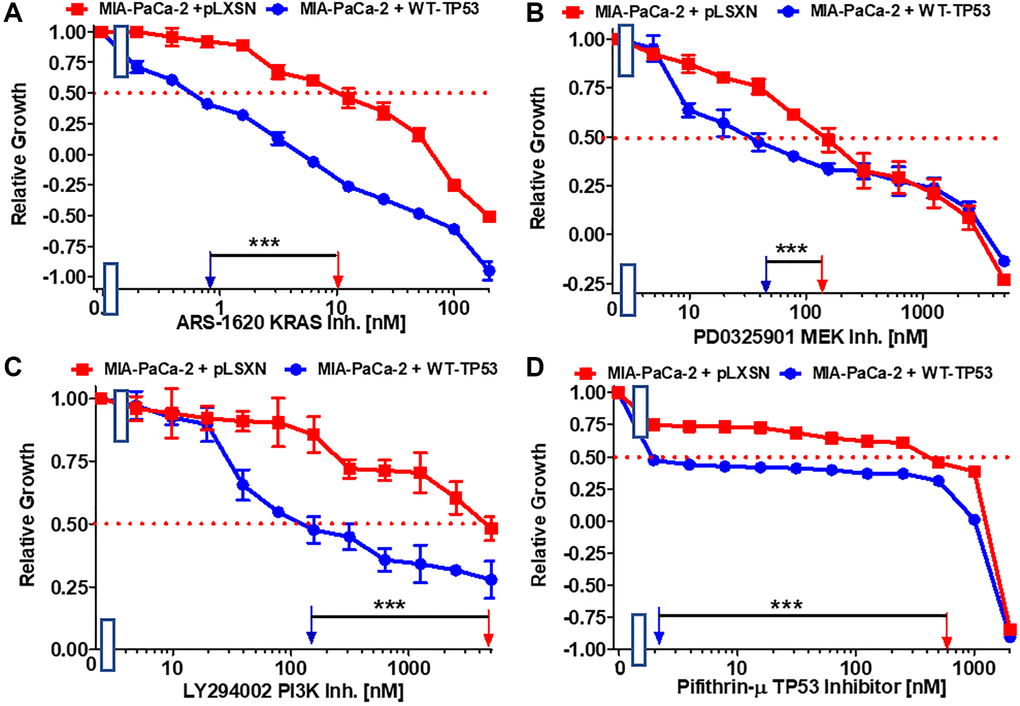 Effects of the Ras/MEK, PI3K/mTOR and TP53 inhibitors on the growth of MIA-PaCa-2 + WT-TP53 and MIA-PaCa-2 + pLXSN cells. The effects of the ARS-1620 mutant KRas inhibitor (A), the PD0325901 MEK1 inhibitor (B), the LY294002 PI3K inhibitor (C) and the TP53 inhibitor pifithrin-μ (D) on MIA-PaCa-2 + pLXSN cells (solid red squared) and MIA-PaCa-2 + WT-TP53 cells (solid blue circles) were examined by MTT analysis. The MIA-PaCa-2 + WT-TP53, and MIA-PaCa-2 + pLXSN cells in each panel were all examined at the same time period. These experiments were repeated and similar results were obtained. Statistical analyses were performed by the Student T test on the means and standard deviations of various treatment groups. ***P 