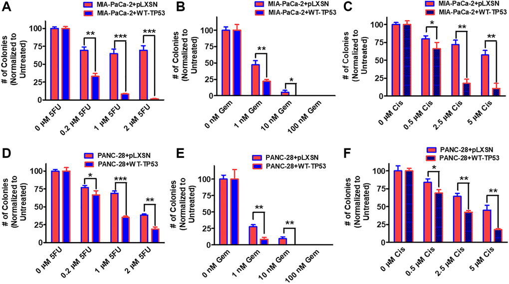 Effects of pLXSN and WT-TP53 on clonogenicity in the presence of 5-Fluorouracil, gemcitabine or cisplatin in two PDAC cell lines. The clonogenicity in the presence of increasing concentrations of 5-fluorouracil (5FU), gemcitabine (Gem) and cisplatin (Cis) were examined in: MIA-PaCa-2 + pLXSN and MIA-PaCa-2 + WT-TP53 (A–C), PANC-28 + pLXSN, and PANC-28 + WT-TP53 (D–F). Red horizontal bars = MIA-PaCa-2 or PANC-28 containing pLXSN. Blue horizontal bars = MIA-PaCa-2 or PANC-28 containing WT-TP53. These experiments were repeated and similar results were observed. The colonies for each cell line were normalized to untreated so that the results from pLXSN and WT-TP53 could be compared. ***P **P *P 