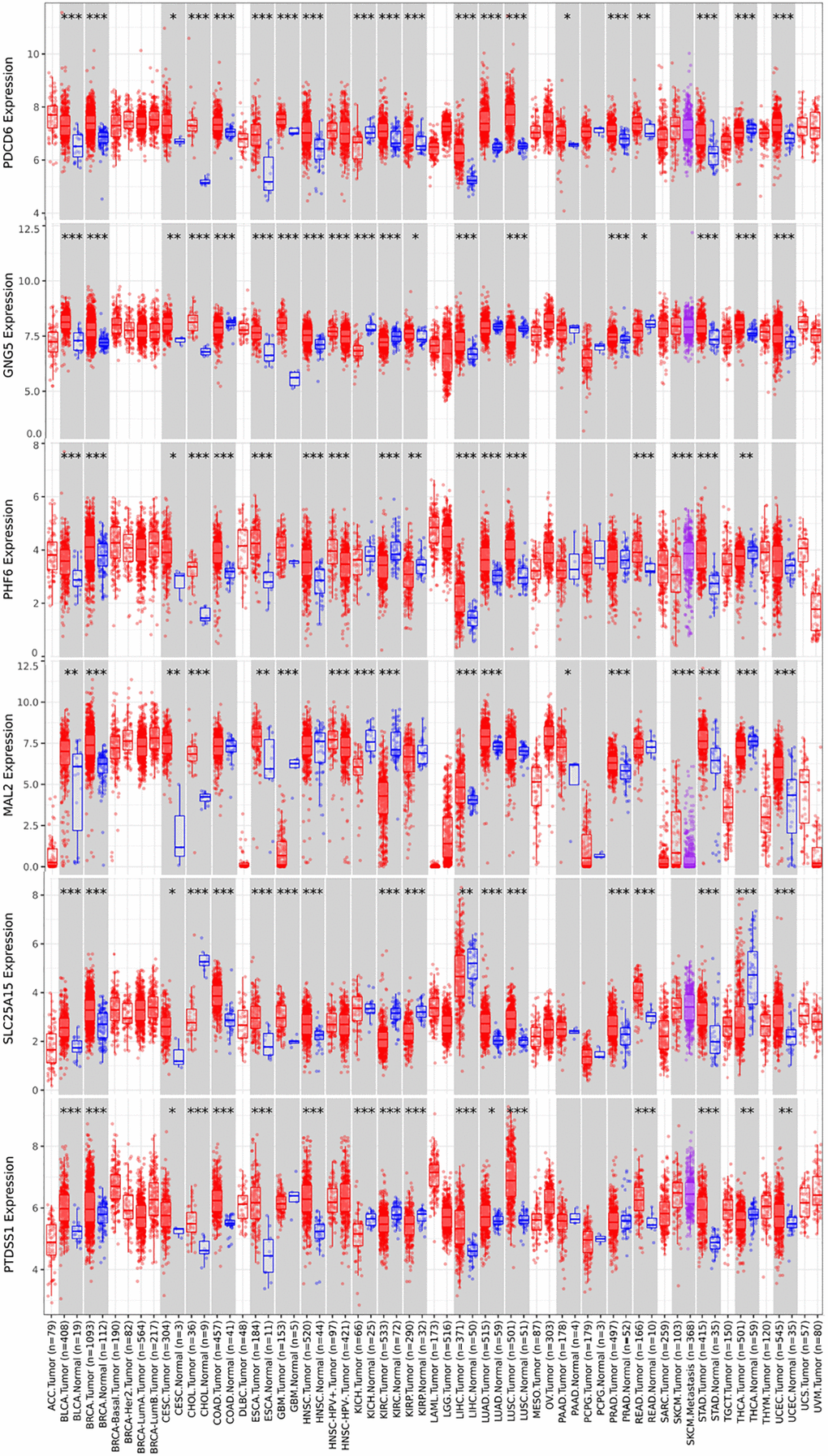 Pan cancer analysis of predicted target genes (PDCD6, GNG5, PHF6, MAL2, SLC25A15 and PTDSS1) (TIMER). (***P **P *P 