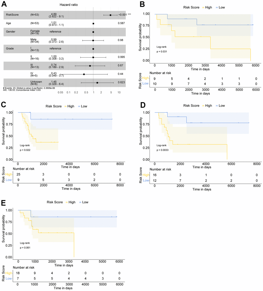 The Risk score was an independent prognostic indicator for OS patients. (A) Multivariate Cox regression analysis indicated that Risk score was significantly related to the overall survival of OS patients. OS patients with Hazard ratio (HR) >1 had higher death risk, and those with HR B, C) Kaplan Meier survival curves of female and male OS patients, respectively. (D, E) Kaplan Meier survival curves of >16 year-old and ≤16 year-old OS patients, respectively.