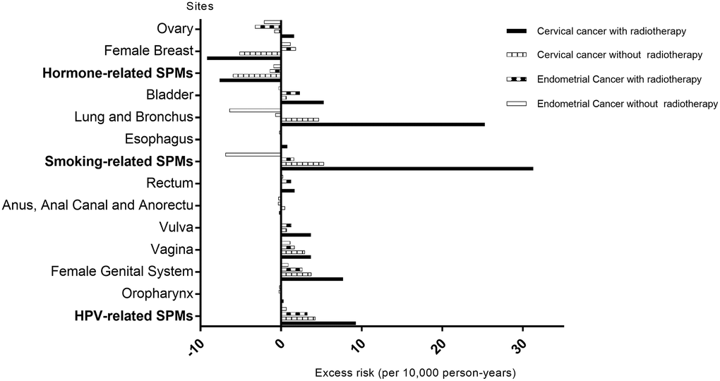 Excess risk of second primary malignancies (SPMs) by radiotherapy status of index cervical cancer and endometrial cancer survivors. Abbreviations: SPMs: second primary malignancies; HPV: human papillomavirus.