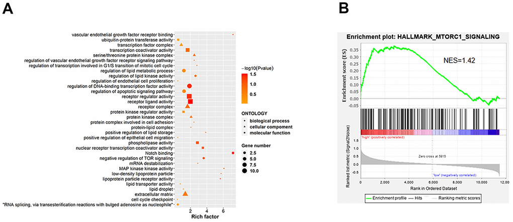 KEGG enrichment analysis between the si-ILF3 group and si-nc group in gastric cancer cell SGC-7901. (A) KEGG analysis showed the signaling pathways that ILF3 was involved in gastric cancer cell SGC-7901. (B) Results of the GSEA showed that ILF3 participated in the regulation of mTOR signaling pathway. NES = normalized enrichment score.