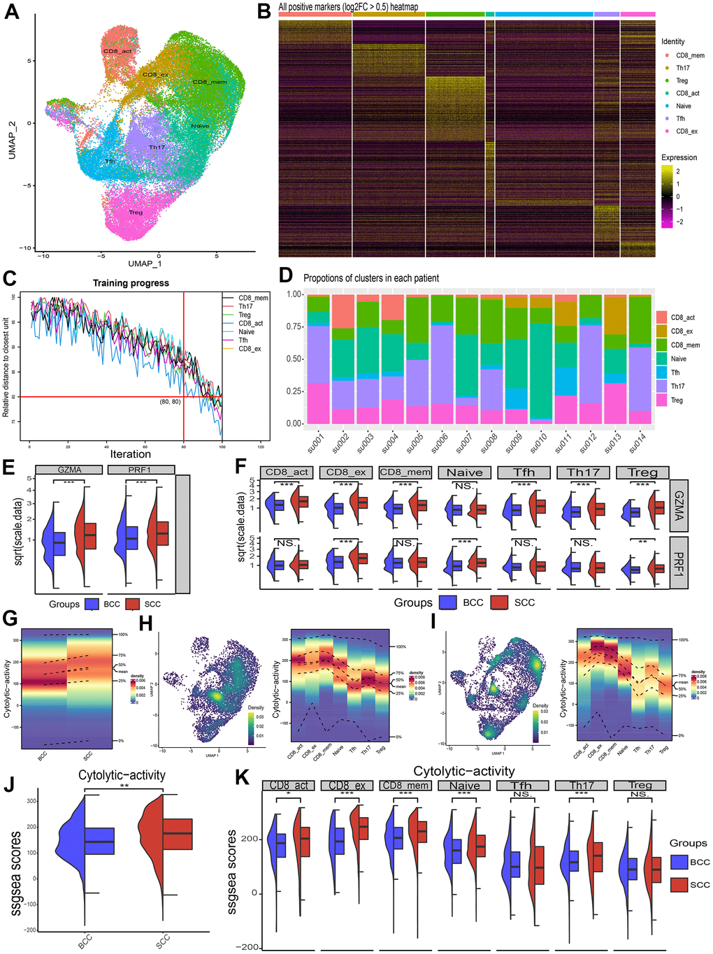 Differences in cytolytic activity of subpopulations of immune cells in single-cell samples from BCC and SCC patients. (A) Umap of T cell subpopulations’ distribution. (B) Heat map of relative expression of T cell subgroup-specific DEGs (p  0.5). (C) Relative distance test of the training progress with 100 iterations of each cluster cells. (D) The proportion of T-cell subsets in each patient sample. (E, F) Differences in relative expression of the genes GZMA and PRF1 in BCC, SCC and T cell subpopulations. (G–I) Density profiles of cytolytic activity in BCC (H), SCC (I) and individual T cell subsets. (J, K) Wilcox test for differences in cytolytic activity of T cells and its subpopulations in BCC and SCC samples.