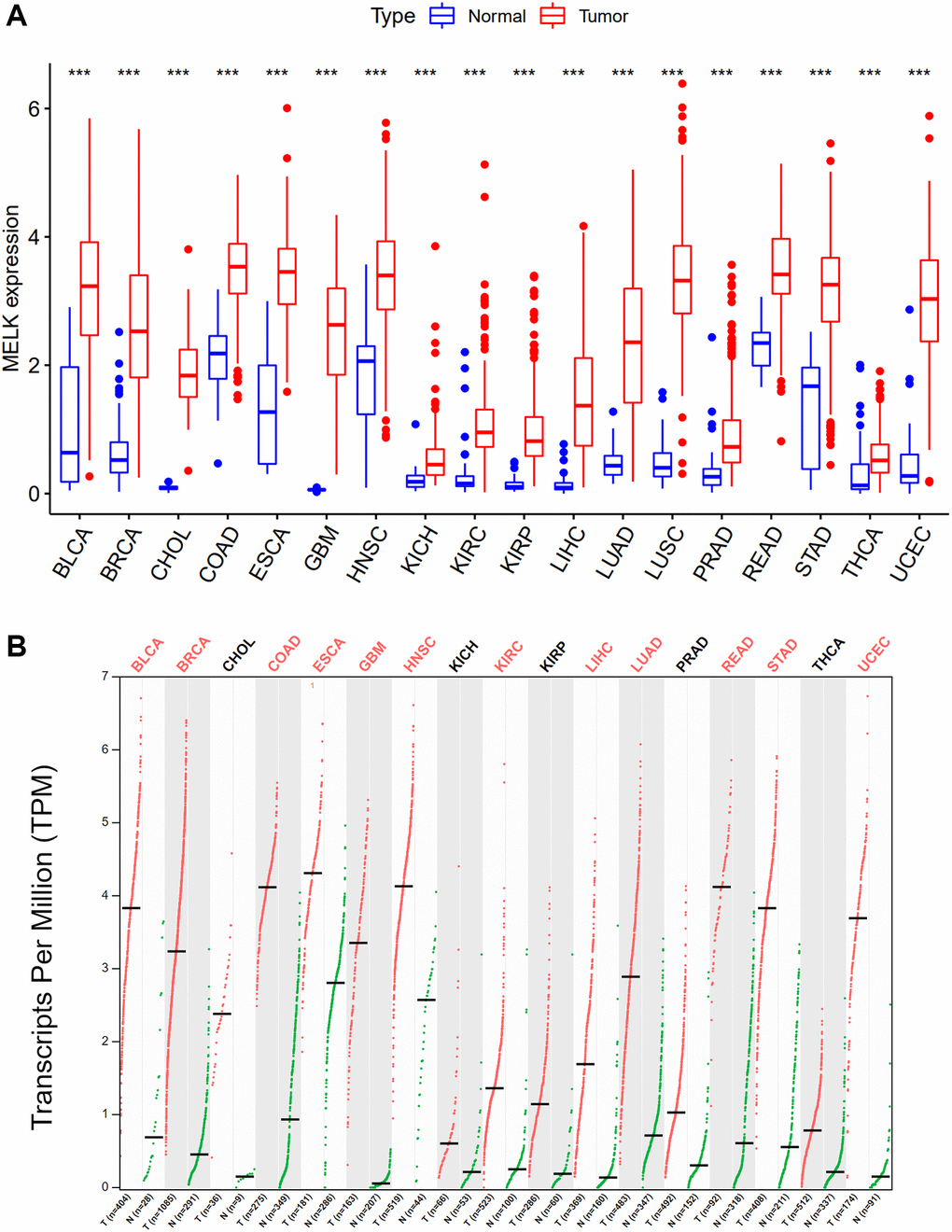 Expression analysis for MELK in multiple cancers. (A) The expression of MELK in 18 types of human cancer based on TCGA cancer and normal data. (B) The expression of MELK in 18 types of human cancer based on TCGA cancer and with corresponding TCGA and GTEx normal tissues. *p value **p value ***p value 