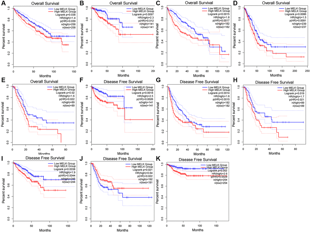 The overall survival (OS) analysis for MELK in various human cancers determined by the “GEPIA” database (A–K) The OS plot of MELK in KIRC (A), KIRP (B), LIHC (C), LUAD (D), and PAAD (E); The DFS plot of MELK in KIRP (F), LIHC (G), PAAD (H), PRAD (I), STAD (J), and THCA (K).