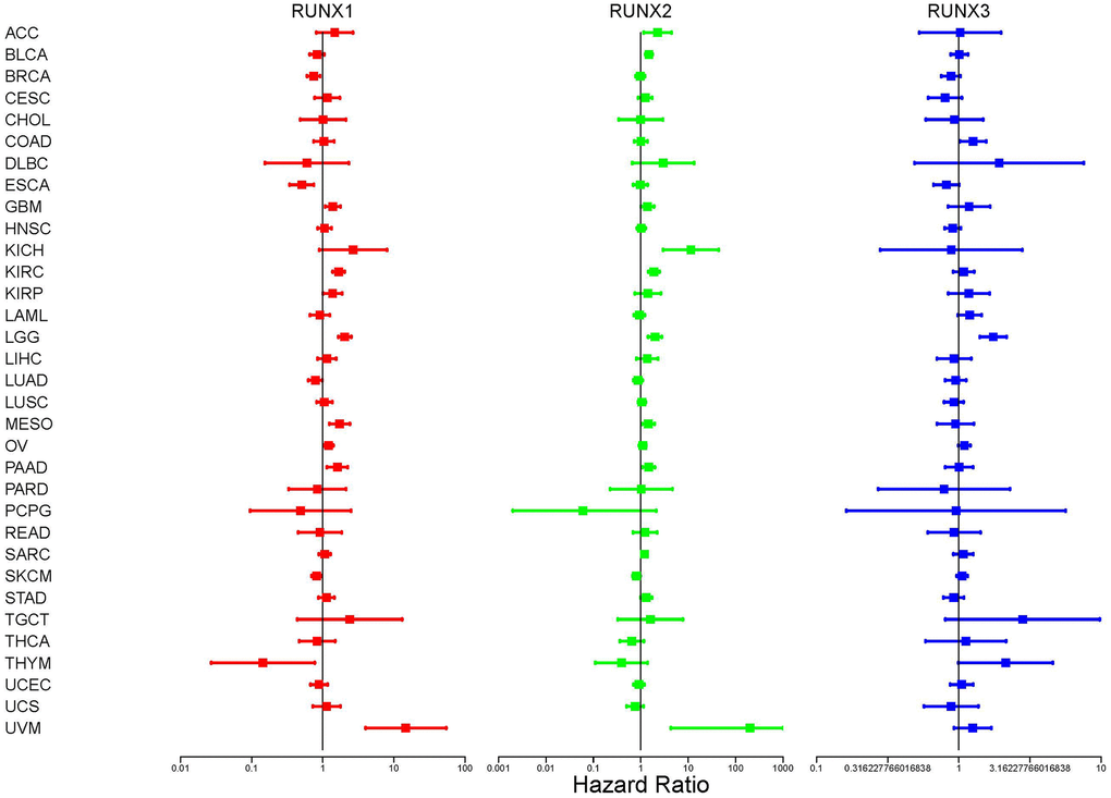 Correlation analysis of RUNX gene family gene expression and patient survival by the Cox method in different cancer types. Different colored lines represent the risk values of different genes in various cancers; HR1 represents high risk. Univariate Cox proportional hazard regression models were used for the association tests.