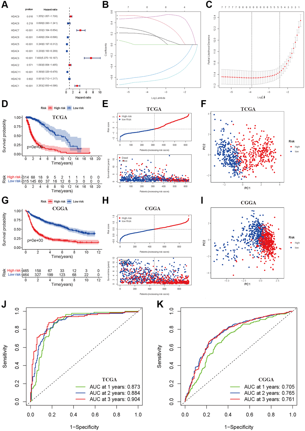 Development and validation of prognostic model based on HDAC genes. (A) Forest plot of univariate cox regression for HDAC genes in glioma patients. (B) LASSO regression of the 11 OS-related HDAC genes. (C) Cross-validation for turning parameters selection in the LASSO regression. (D) Kaplan-Meier survival curve of high- and low-risk groups from developed prognostic model based on 6 HDAC genes in TCGA. (E) Distributions of risk scores and survival time of glioma patients in TCGA. (F) PCA plot for high- and low-risk group in TCGA. (G) Kaplan-Meier survival curve of high- and low-risk groups from validated prognostic model based on 6 HDAC genes in CGGA. (H) Distributions of risk scores and survival time of glioma patients in CGGA. (I) PCA plot for high- and low-risk group in CGGA. (J and K) The receiver operating characteristic curve for predicting 1-year, 2-year, and 3-year survival rate of glioma patients in TCGA and CGGA.