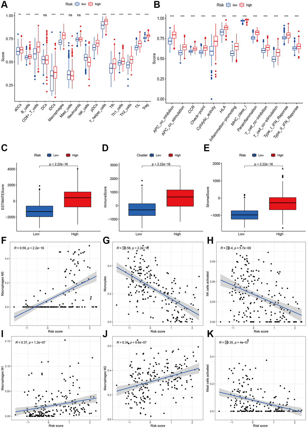 Immune status analysis between high- and low-risk group. (A) The ssGSEA scores of immune cells. (B) The ssGSEA scores of immune-related functions. (C–E) Comparisons of Estimated, immune and stromal score between high-and low-risk group. (F–K) Correlation between risk score and immune markers (Macrophages M0, Monocytes, NK cells activated, Macrophages M1, M2, and Mast cells activated) in glioma patients.