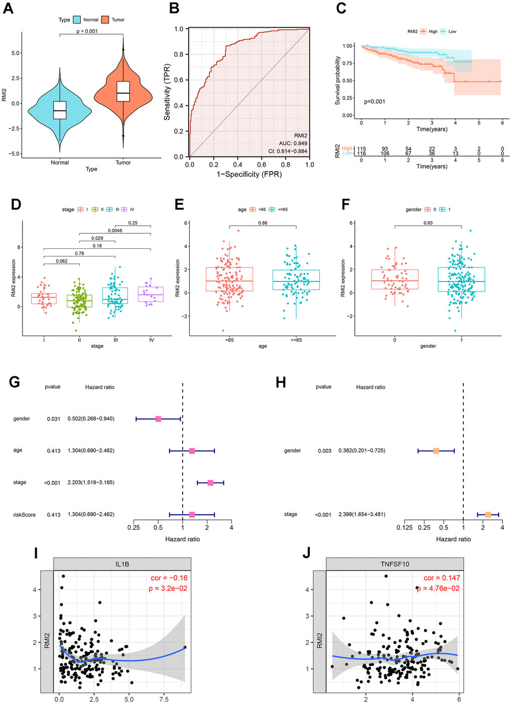 Further validation of RMI2 in other databases. (A) Expression analysis in ICGC database showed that RMI2 was up-regulated in hepatocellular carcinoma (PB) ROC curve showed that the AUC value of RMI2 in hepatocellular carcinoma was 0.849. (C) Survival analysis showed that high RMI2 expression was associated with poor prognosis of hepatocellular carcinoma. (D–F) The correlation between RMI2 and stage, age, and gender of HCC patients. (G) Univariate COX regression. (H) Multivariate COX regression. (I, J) RMI2 was significantly correlated with IL1B and TNFSF10 (PFigure 10I, 10J).