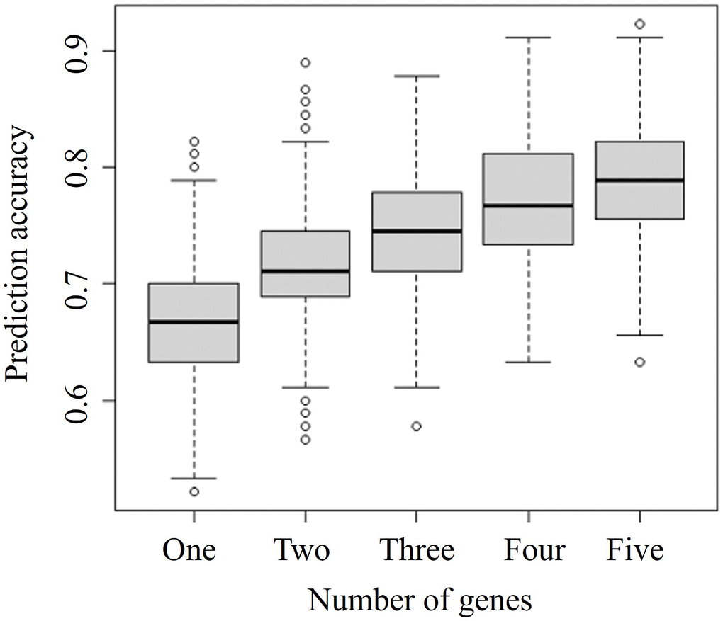 Comparison of prediction accuracies of combinations of different numbers of genes. The specific-number gene sets were selected from 378 significant differentially expressed genes identified by the merged microarray dataset using the limma package. Vertical and horizontal axes represent the prediction accuracy and the number of genes considered in combination, respectively.