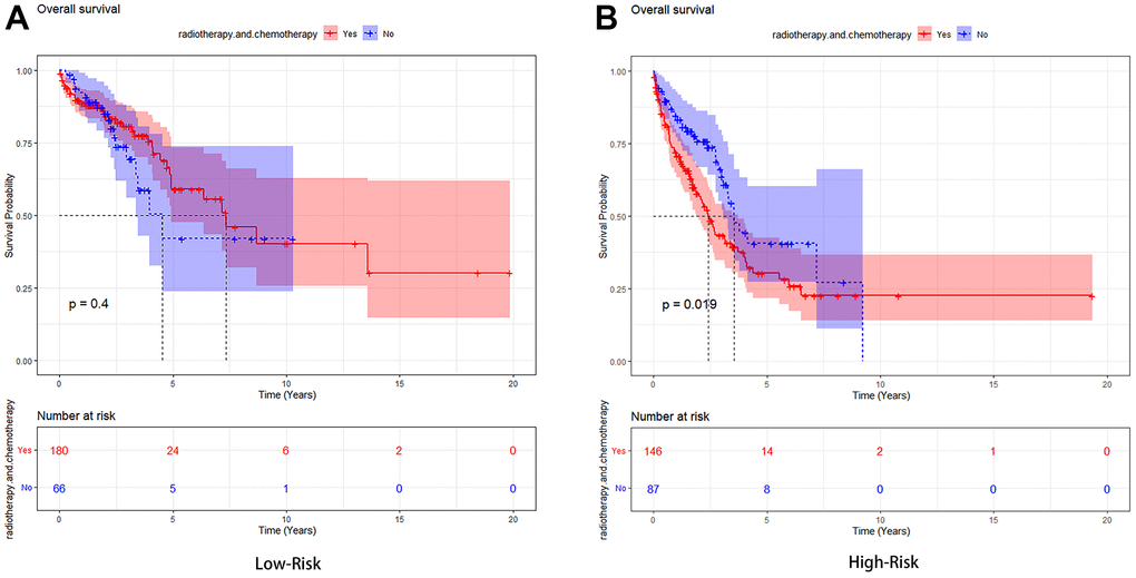 Kaplan-Meier analysis of the high-risk group and low-risk group based on whether they had undergone radiotherapy and chemotherapy. (A) The Low-Risk group’s Kaplan-Meier curve. (B) The High-Risk group’s Kaplan-Meier curve.