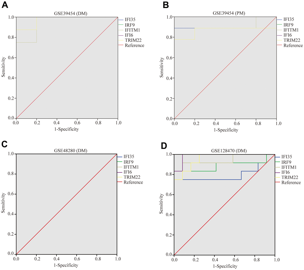 Receiver operating characteristics of five hub genes. (A) GSE39454 (DM); (B) GSE39454 (PM); (C) GSE48280 (DM); (D) GSE128470 (DM).