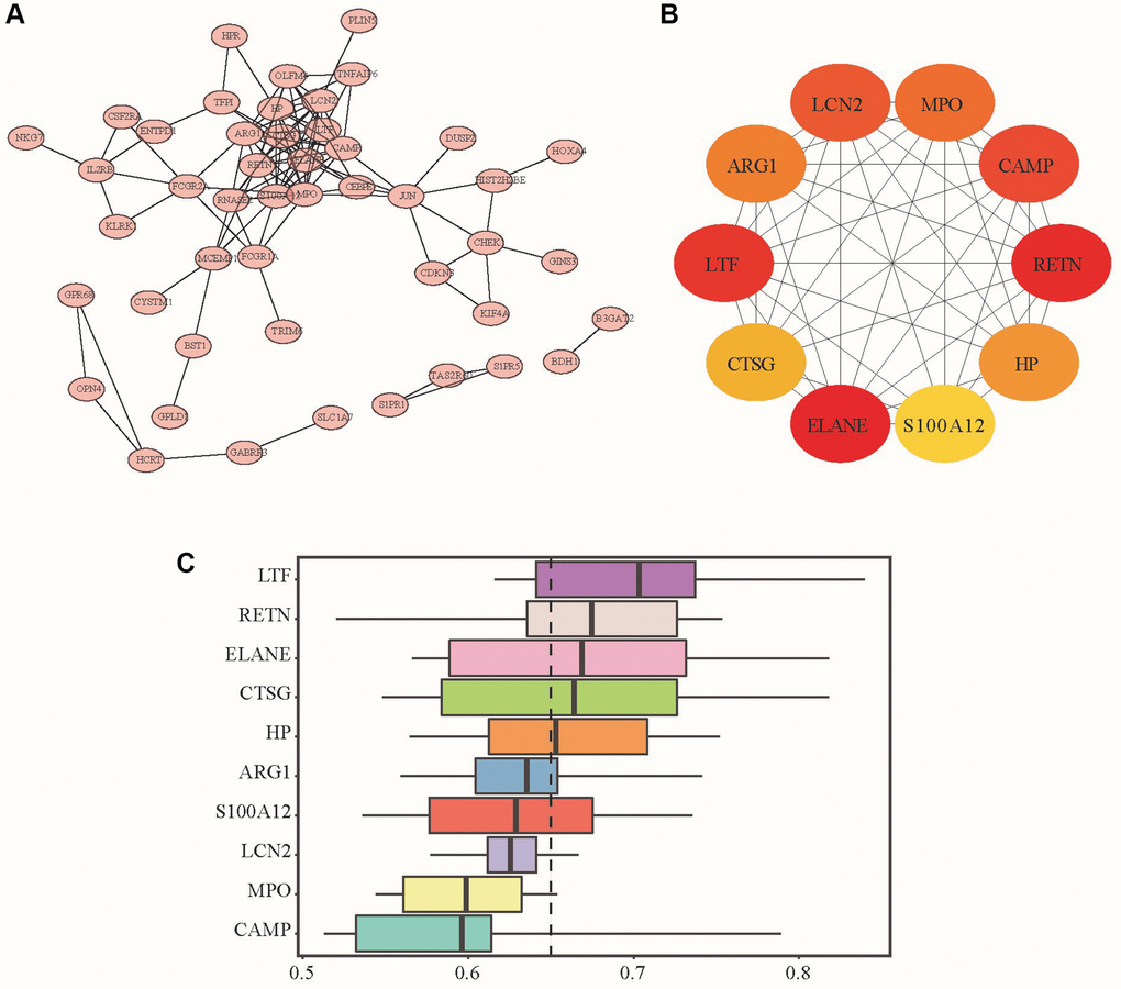 PPI network, hub genes and DEG functional similarity scores. (A) PPI network analysis diagram; (B) Hub gene schematic diagram: the redder the color is, the higher the enrichment score is, and the yellow represents the relatively small enrichment score. (C) The distribution of the functional similarity of different genes is summarized as a box plot. The middle of these boxes represents 50% similarities; the upper and lower borders show the 75th and 25th percentiles. The line in the box represents the average value of functional similarity.