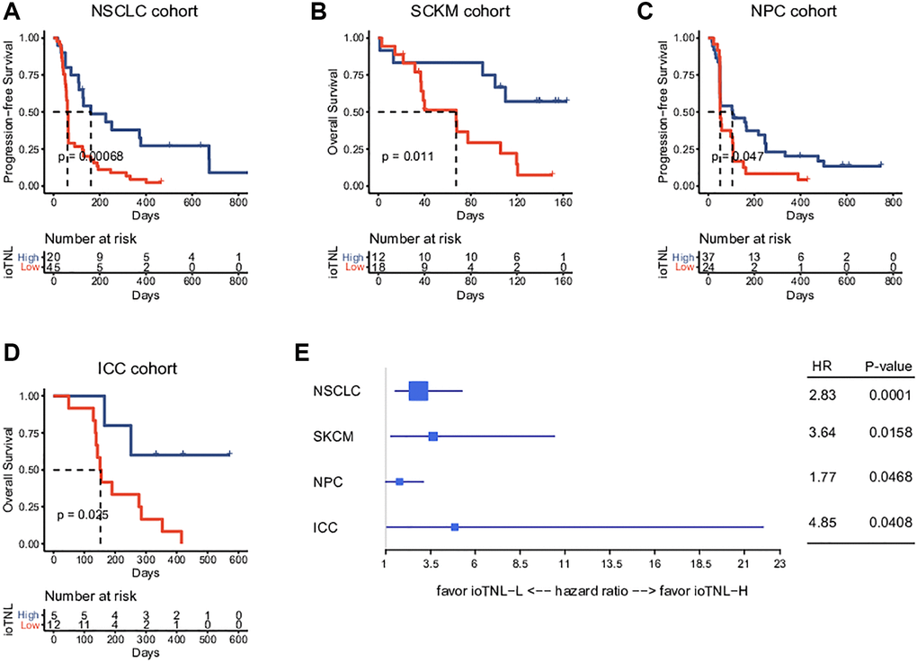 Prognosis analysis of ioTNL in multiple datasets. Kaplan-Meier estimator was used to visualize the survival of ioTNL-H group and ioTNL-L group in the NSCLC cohort (A), the SKCM cohort (B), the NPC cohort (C) and the ICC cohort (D). (E) Forest plot for the hazard ratios of ioTNL in four cohorts. Larger boxes indicate statistical significance.