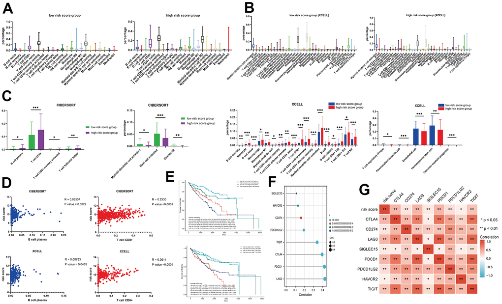 (A) The immune components between different risk score groups in the CIBERSORT; (B) The immune components between different risk score groups in the XCELL; (C) The different immune components for CIBERSORT and XCELL; (D) The correlation between the T cell CD8+ / B cell plasma and risk score; (E) The KM analysis for the risk score combined with T cell CD8+ / B cell plasma; (F, G) The interaction plots for immune markers and risk score.