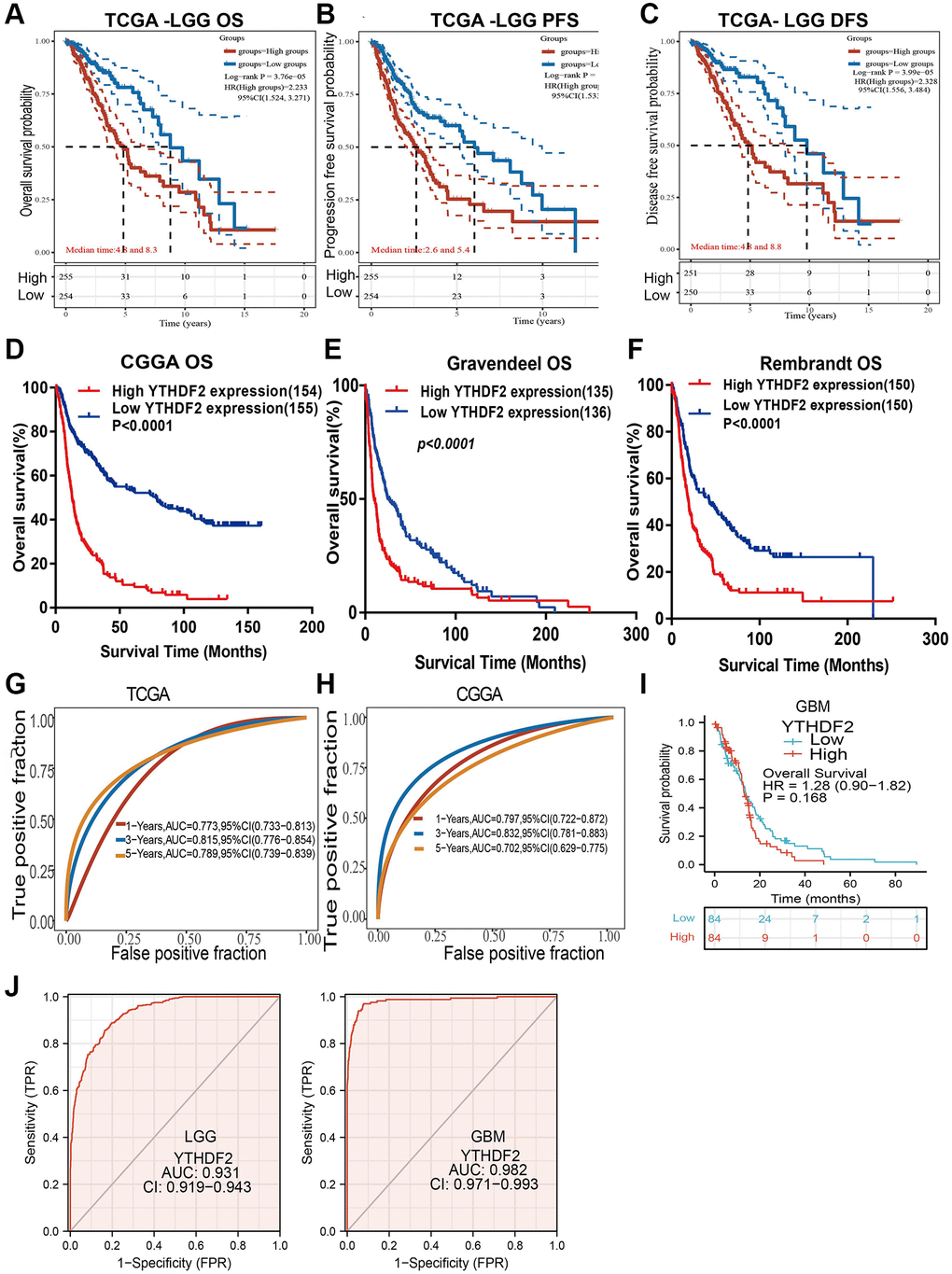 The prognosis of YTHDF2 in LGG. (A–F) The prognosis of YTHDF2 in LGG was examined by TCGA, CGGA, Rembrandt, and Gravendeel databases. (G, H) ROC analyses revealed the predictive value of YTHDF2 in glioma based on TCGA-LGG, CGGA, and TCGA-GBM. (I) The prognostic value of YTHDF2 in GBM. (J) The diagnostic value of YTHDF2 in GBM and LGG.