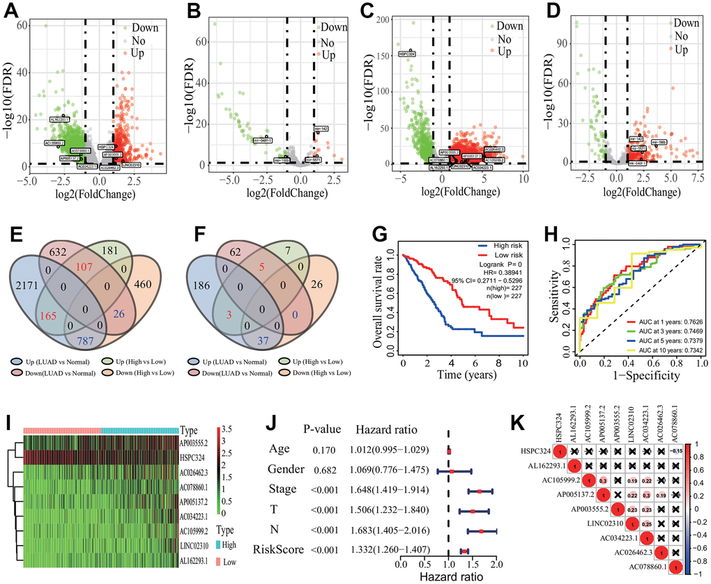 Differentially expressed lncRNAs and miRNA identification and prognostic signature construction. (A, B) Distribution of differentially expressed lncRNA and miRNA between the high and low immune infiltration groups. Totals of 1726 DElncRNAs and 78 DEmiRNAs were separately identified. (C, D) Distribution of differentially expressed lncRNA and miRNA between the LUAD and normal tissues. Totals of 3888 DElncRNAs and 293 DEmiRNAs were separately identified. (E, F) Key DElncRNA and DEmiRNA identification. Totals of 1085 key DElncRNAs and 45 key DEmiRNAs were respectively identified by an overlap analysis. (G) Survival curve. LUAD patients had a higher OS rate in the low-risk group (p=0, HR=0.38941, 95% CI=0.2711-0.5296). (H) ROC curve. The AUCs of 1-, 3, 5- and 10-years of 9-lncRNA signature were separately 0.7626, 0.7469, 0.7379 and 0.7342. (I) Heatmap of gene expression. Eight lncRNAs and one lncRNA were lowly and highly expressed in the low-risk group, respectively. (J) Independent prognostic analysis. The 9-lncRNA prognostic signature was significantly correlated with the OS of LUAD patients. (K) Expression correlation among 9 lncRNAs. The 9 lncRNAs had no significant correlations in expression. LUAD, lung adenocarcinoma; DElncRNA, differentially expressed lncRNA; DEmiRNA, differentially expressed miRNA; ROC, receiver operating characteristic; AUC, area under the curve; OS, overall survival, CI, confidence interval.