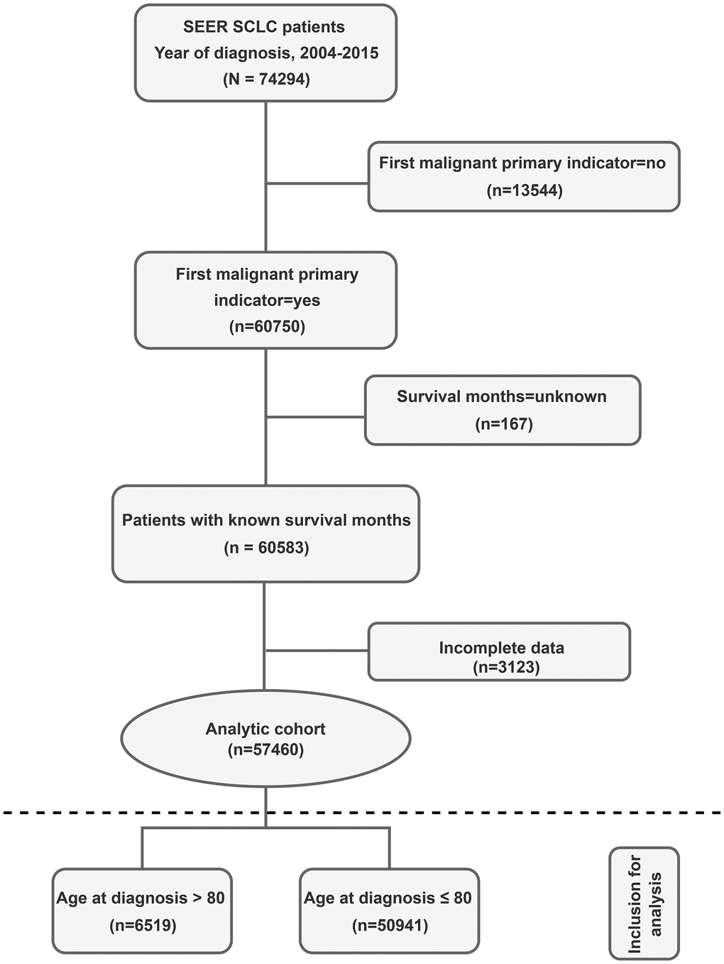 Study flow diagram. Abbreviations: SCLC: Small cell lung cancer; SEER: Surveillance, Epidemiology, and End Results registry.