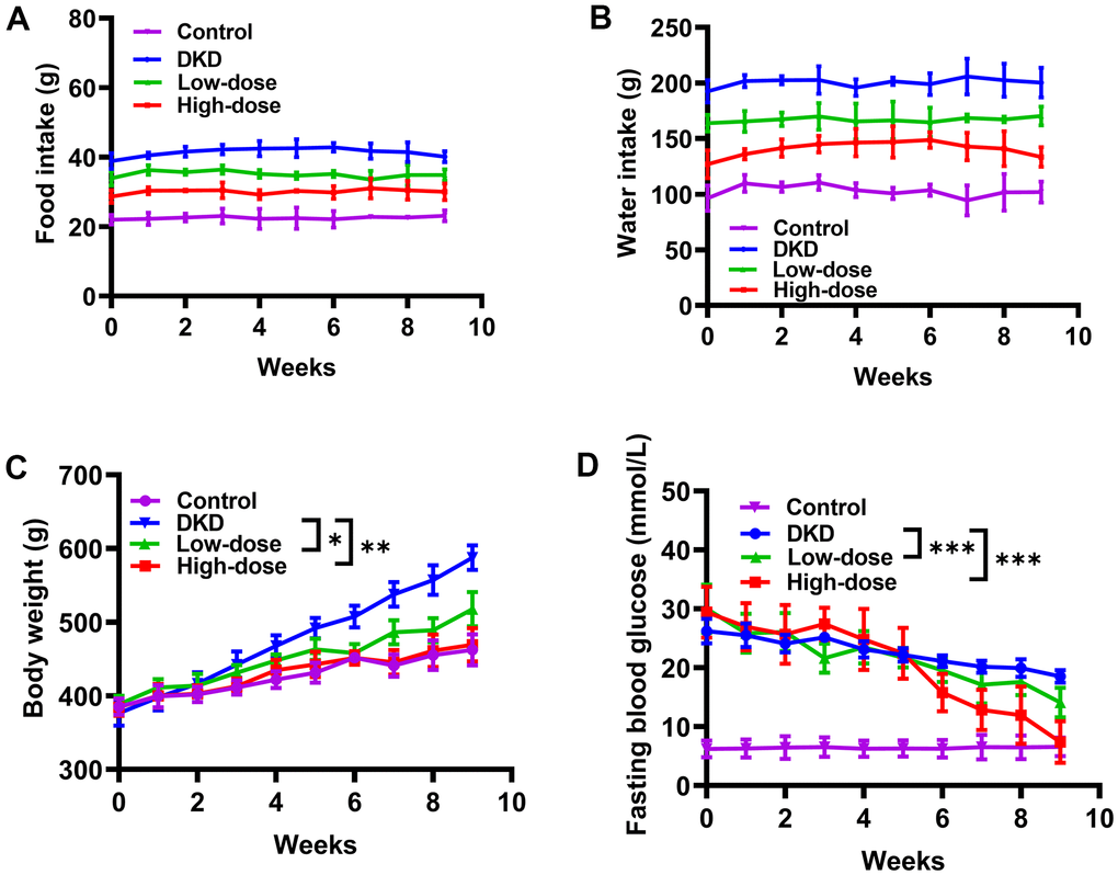 Effects of Qidantang Granule on DKD rats. The DKD rats were administered with 50 mg/kg (low-dose) or 200 mg/kg (high-dose) Qidantang Granule for 9 weeks by gavage. (A) Food intake of rats in 1-9 weeks. (B) Water drink of rats in 1-9 weeks. The weight (C) and fasting blood glucose (D) of the rats in each group are measured weekly. n=6. *p 