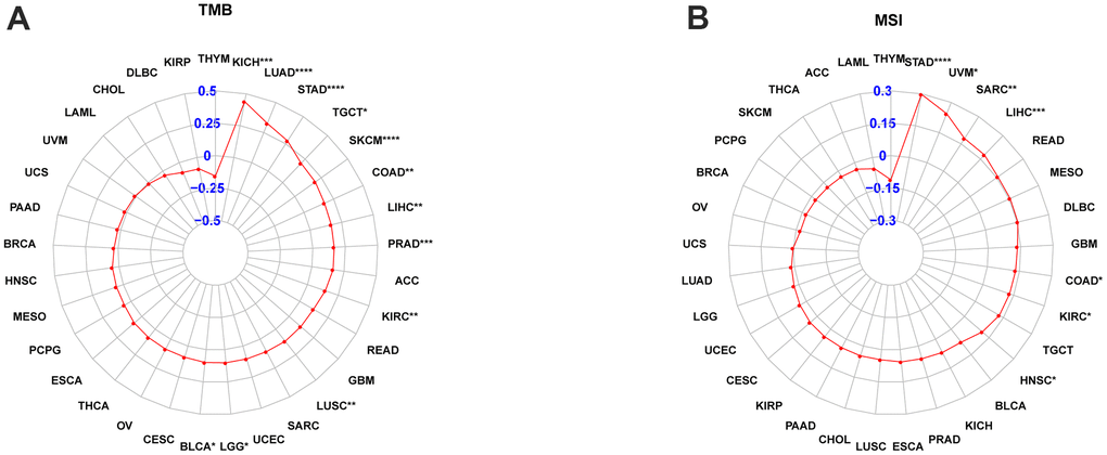 POC1A correlation with tumor mutation burden (TMB) and microsatellite instability (MSI). (A, B) POC1A correlation with TMB (A) and MSI (B) of Radar plots in pan-cancer. Red dots indicate the correlation coefficient. *P