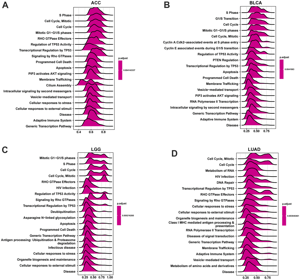 GSEA analysis of POC1A in pan-cancer. (A–D) GSEA detected the top twenty genes of indicated tumors (NES ≥ 1.5, adjusted P 