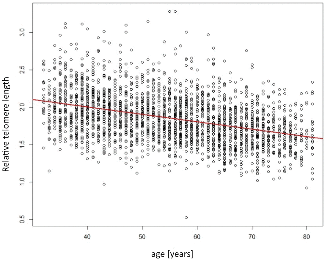 class="figure-viewer-img"