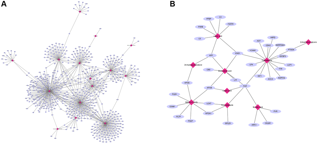 Integration of proteomic and metabolomic analysis. (A) MetaboAnalyst was used to explore the association between proteomic and metabolites. (B) hub metabolites for both the TAMG (+) and TAMG (−) networks.