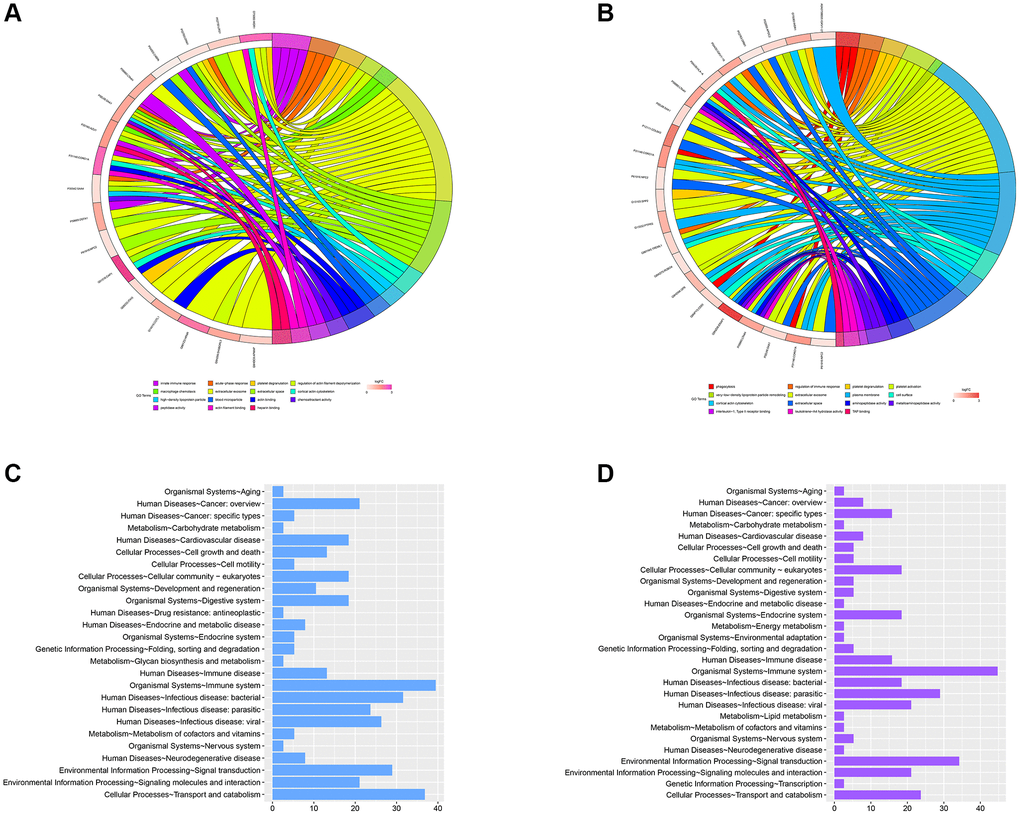 GO analysis of the significant MEmagenta and MEred modules in the TAMG (+) and TAMG (−) groups. (A, B) GO annotation for module’s DEPs. (C, D) KEGG pathway analysis of MEmagenta module.