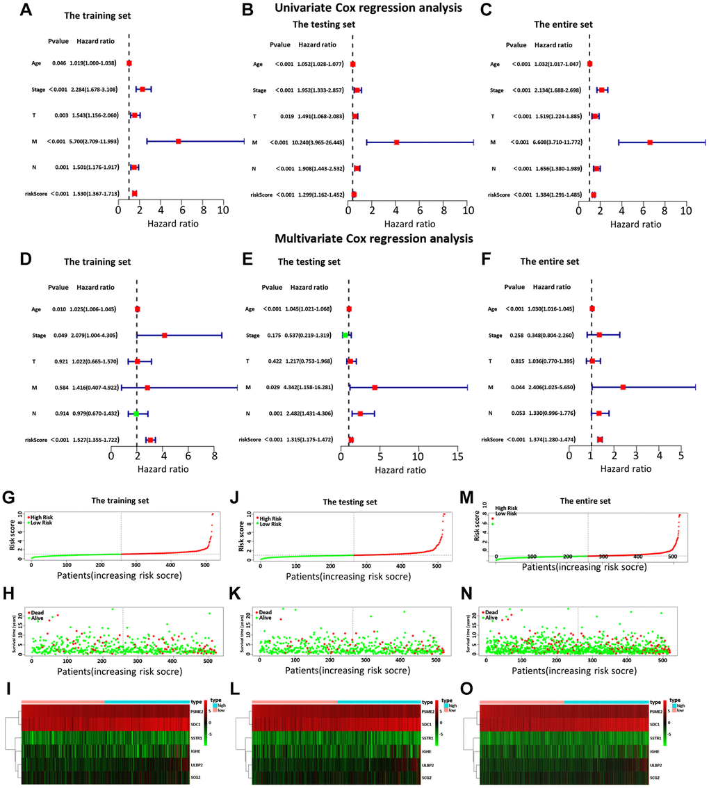 The univariate (A–C) and multiple (D–F) regression analysis of BC, including the relationships of the age, stage, T stage, distant metastasis, lymph node metastasis, and riskScore in the three sets. The training set (A, D), the testing set (B, E), and the entire set (C, F). The green squares indicated that the median value of hazard ratio (HR) was less than 1, while the red squares indicated that the median value of HR was greater than 1. Analysis of risk score, OS, and the expression of the six genes in the training set (G–I), testing set (J–L), and entire set (M–O). The risk score, OS, and heat map were listed from top to bottom.