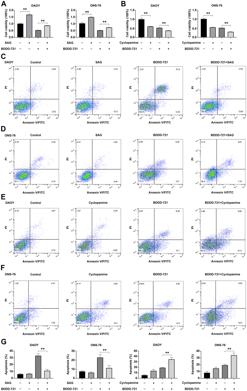 Hedgehog signaling is required for BDDD-721 against medulloblastoma cells. (A) The cell viability of DAOY and ONS-76 cells were analyzed by MTT assay in DAOY and ONS-76 cells treated with BDDD-721 and/or SAG. (B) The cell viability of DAOY and ONS-76 cells were analyzed by MTT assay in DAOY and ONS-76 cells treated with BDDD-721 and/or cyclopamine. Cell apoptosis was detected by flow cytometry in DAOY (C) and ONS-76 (D) cells treated with BDDD-721 and/or SAG. Then, cell apoptosis was detected by flow cytometry in DAOY (E) and ONS-76 (F) cells treated with BDDD-721 and/or cyclopamine. (G) Column chart represents the percentage of apoptosis cells analyzed by SPSS statistical software.